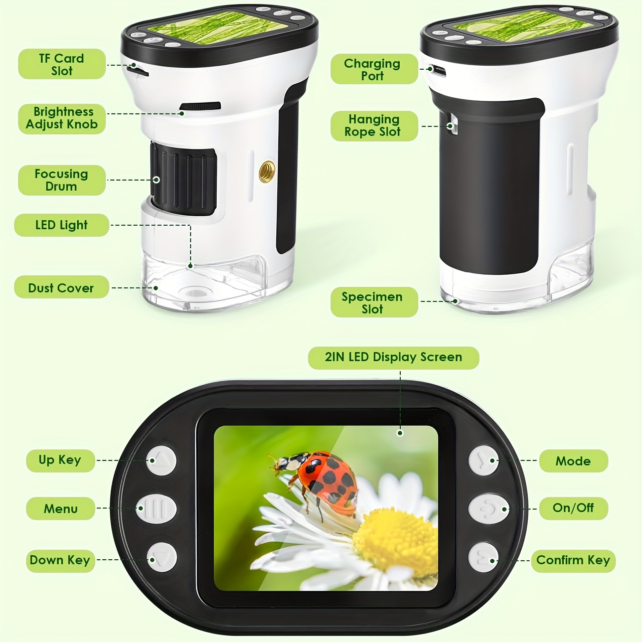 Kit Microscopio Biologico per  - Toys For Kids Video recensione e prezzo