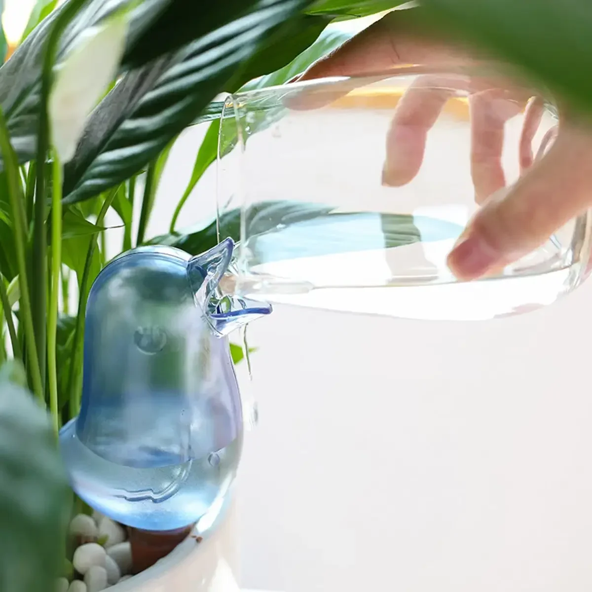 Irrigatore automatico per fior - Water Balloon Set recensione e prezzo