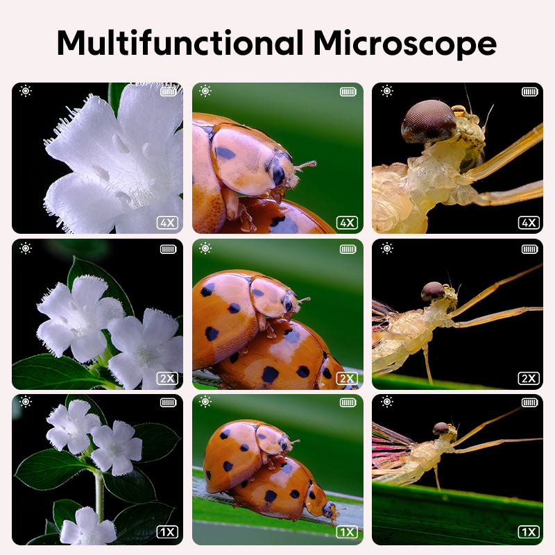 Mini microscopio ottico per ba - Toys For Kids Video recensione e prezzo